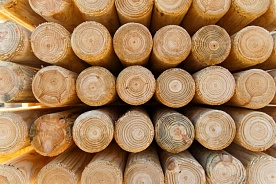 КГК проверяет, как граждане используют купленную по льготе древесину