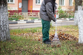 В Беларуси пройдет еще один республиканский субботник: правительство назначило дату