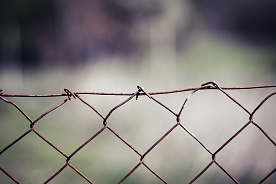 До 12 лет тюрьмы. В Беларуси планируют ввести уголовную ответственность за призывы к санкциям