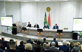 Ценовое регулирование в 2026 году: к чему готовиться бизнесу