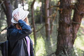 Где на больших выходных можно посещать леса без ограничений