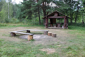 Запреты и ограничения на посещение лесов введены в 16 районах Беларуси