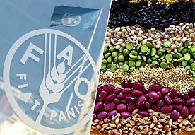 Мировые цены на продовольствие продолжают расти