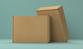 Лицензирование картона и бумажной упаковки на полгода