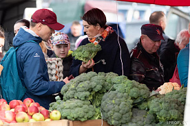 Закупаем урожай: в Минске стартуют сельхозярмарки