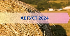 Что изменится в августе 2024 года в Беларуси