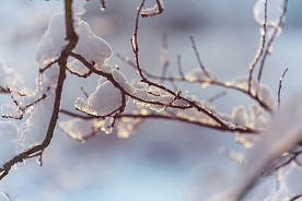 Январь 2026 года: рабочие и выходные дни, праздники и памятные даты