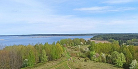 Посещение лесов ограничено в 3 районах Беларуси