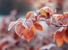 Бизнес-календарь. Ноябрь 2025