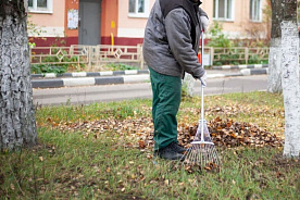 В Беларуси пройдет еще один республиканский субботник: правительство назначило дату