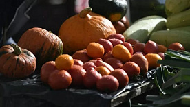 В Минске работают 148 площадок и ярмарки в каждом районе, где дешево продают овощи и фрукты