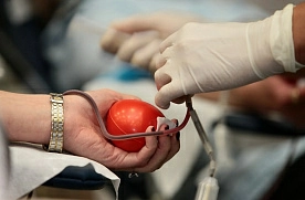 В приоритете – безвозмездное донорство крови