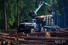 Лесной бизнес: драйверы роста