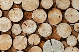 Крупный китайский импортер пиломатериалов планирует инвестировать в белорусскую деревообработку