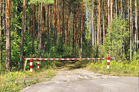 Запреты и ограничения на посещение лесов действуют по всей стране