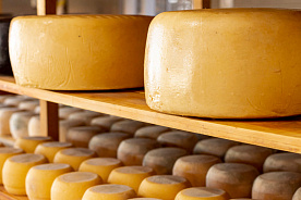 Продали сыр по заниженной цене – получили штраф 26 тысяч