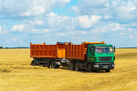 Белорусский АПК намерен превзойти рекордный результат 2022 г. по экспорту сельхозпродукции