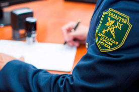 ГТК: дробление веса сборного товара на двоих не дает права беспошлинного ввоза