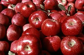 Яблоки и овощи включены в список товаров с социальной скидкой