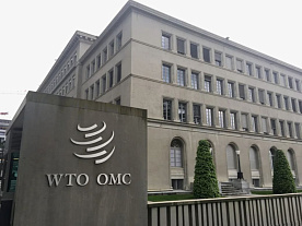 Беларусь окончательно отказалась от вступления в ВТО