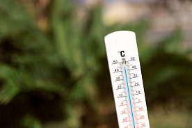 Температура воздуха в Беларуси растет на 0,6 градусов каждые 10 лет – Белгидромет