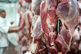 Крупный китайский импортер мяса и морепродуктов планирует закупать говядину через БУТБ