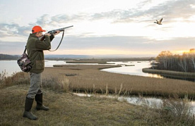 В Беларуси планируют изменить правила охоты