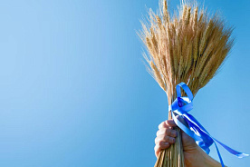 Сельское хозяйство Беларуси: средняя зарплата почти 2,2 тысячи рублей и сезонный кадровый дефицит