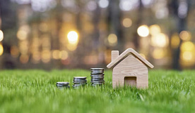 ТОП-10 регионов Беларуси с самой дорогой землей