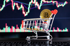 Заработать не получилось: белоруска лишилась денег из-за запрещенных сделок с криптой