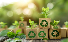Беларусь станет более «зеленой» за счет переработки отходов, безопасной упаковки и ответственного поведения