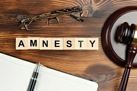 Подписан Закон об амнистии