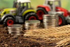 Сельхозорганизации должны представить налоговой уведомление о переходе на единый налог до 1 февраля