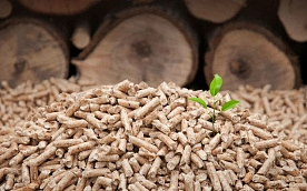 В Беларуси вводится регулирование цен на древесные топливные гранулы