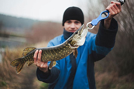 Сматываем удочки: с 1 марта действуют новые ограничения на лов рыбы