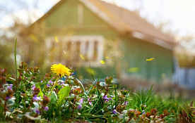 Как в Беларуси будут продавать бесхозяйные садовые домики
