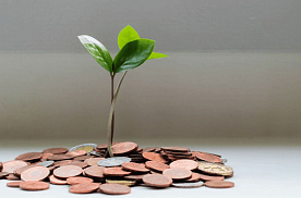 Ресурс о мерах господдержки бизнеса запущен в Беларуси