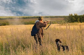 С 12 августа стартует сезон охоты на уток: какие документы нужны охотнику