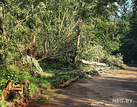 Первые оценки последствий июльской непогоды