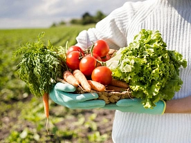 В Беларуси производство сельхозпродукции за семь месяцев выросло на 5,2%