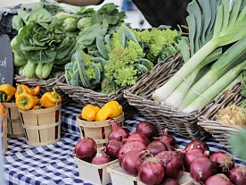 Доходы от продажи огородной продукции освободят от налогов