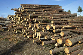 Перевозка белорусских лесоматериалов в Азербайджан: потребуется навигационная пломба