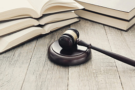 Поправки в Закон об обращениях граждан и юридических лиц рассмотрят во втором чтении